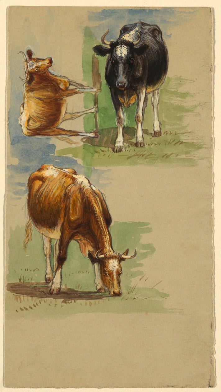 Cattle, Steers by Samuel Colman