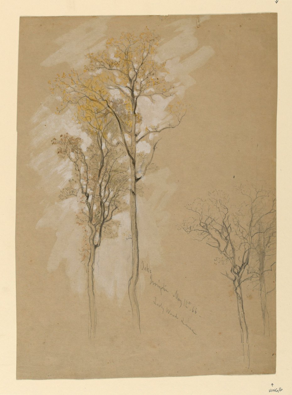 Oaks, Lady Wood Lane, Irvington by Samuel Colman
