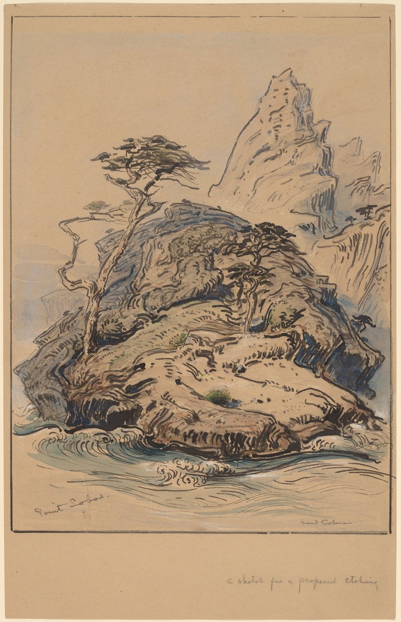 Point Lobos, California by Samuel Colman