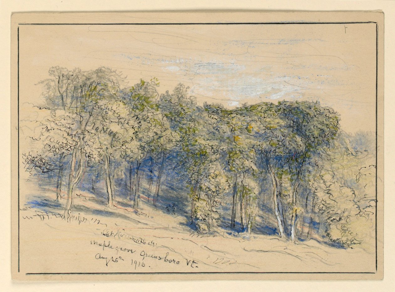 Study of Maple Grove, Greensboro, Vermont by Samuel Colman
