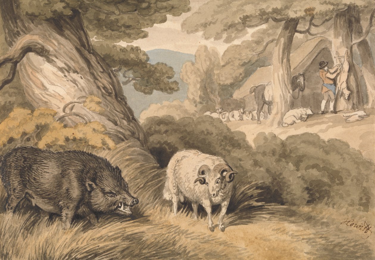 A Boar and a Ram by Samuel Howitt