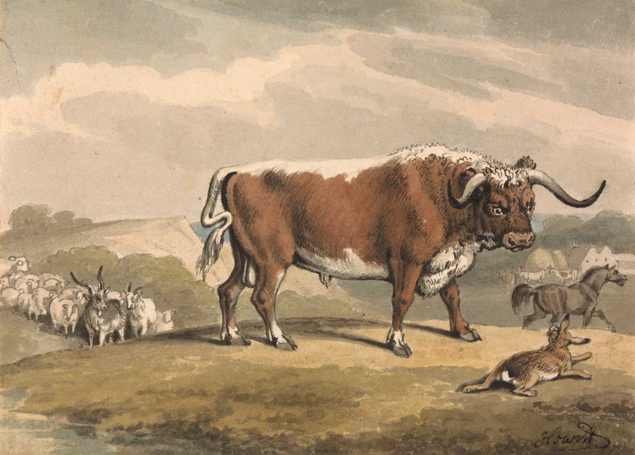 A Bull and a Rabbit by Samuel Howitt