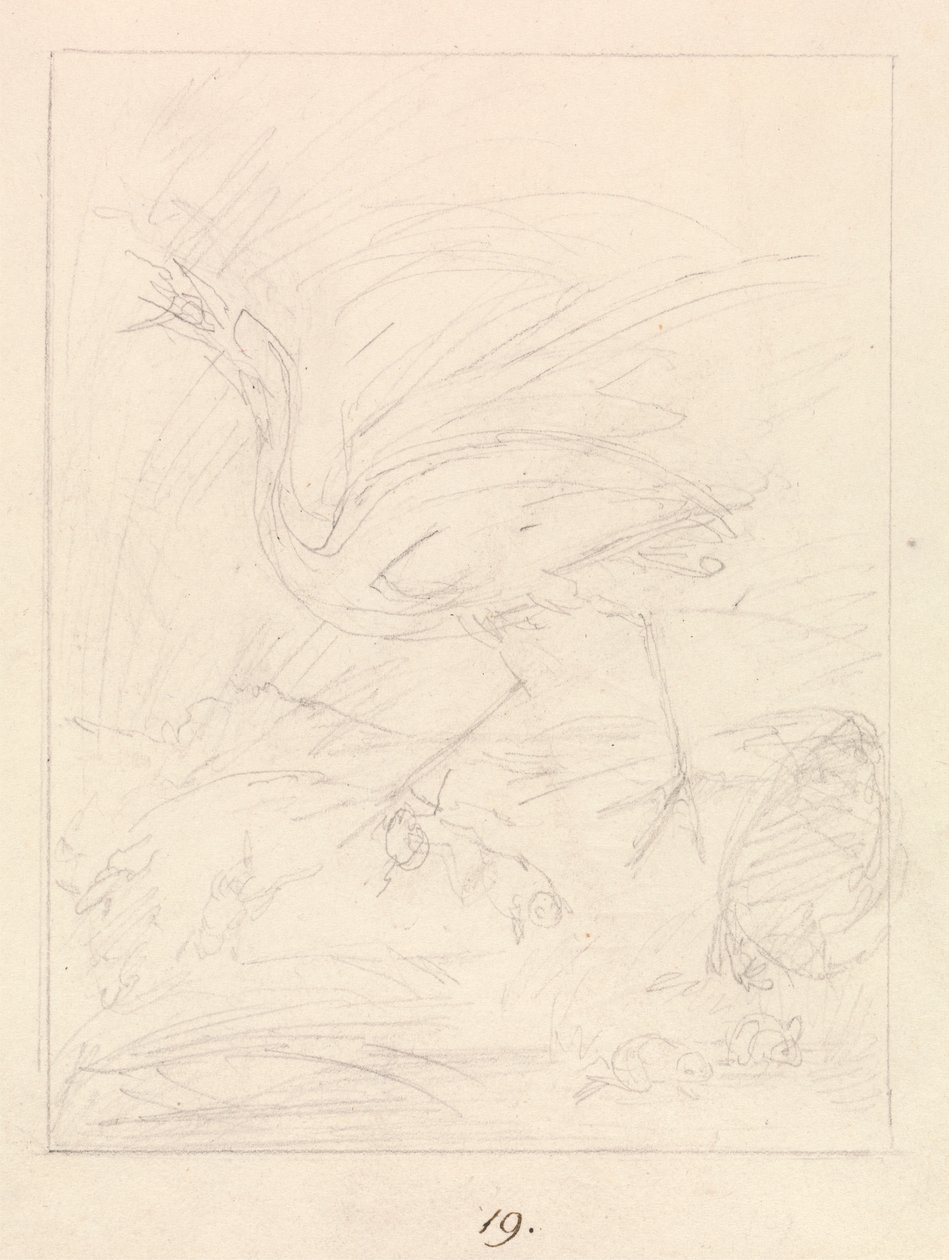 Crane and Frogs by Samuel Howitt