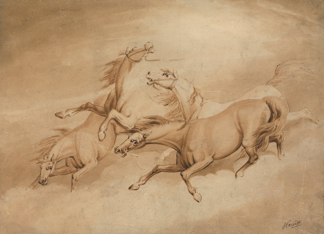 Four Galloping Horses by Samuel Howitt