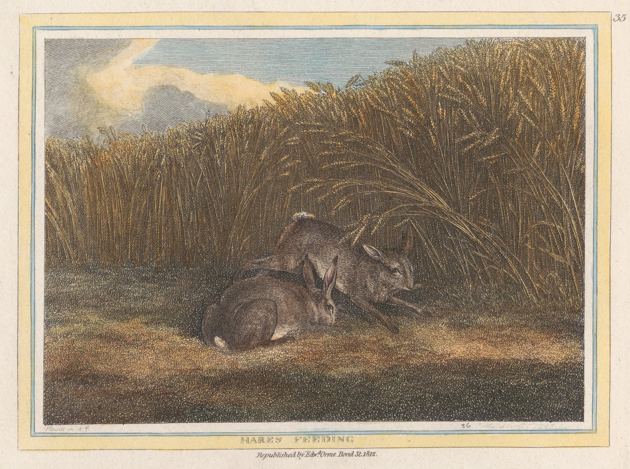 Hares Feeding by Samuel Howitt