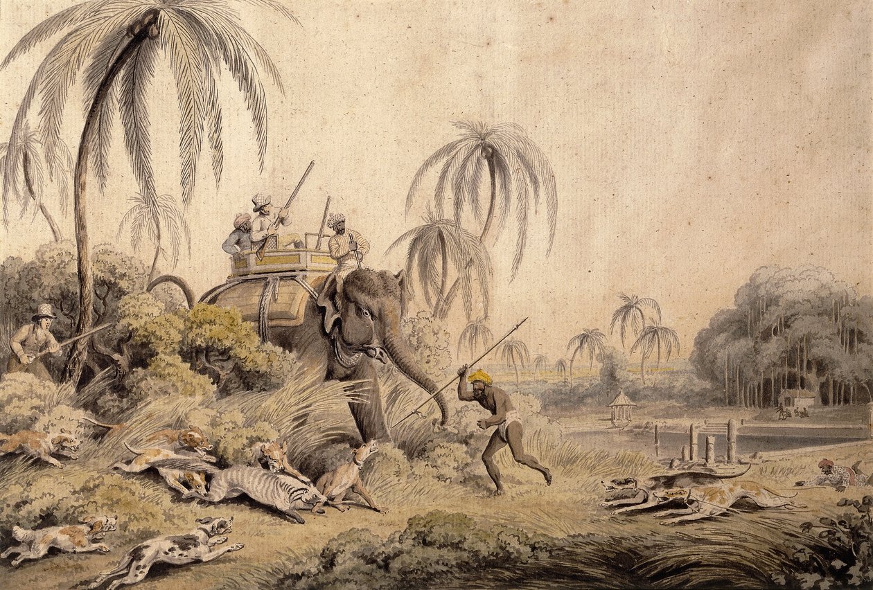 Hunting Kuttauss or Civet Cat by Samuel Howitt