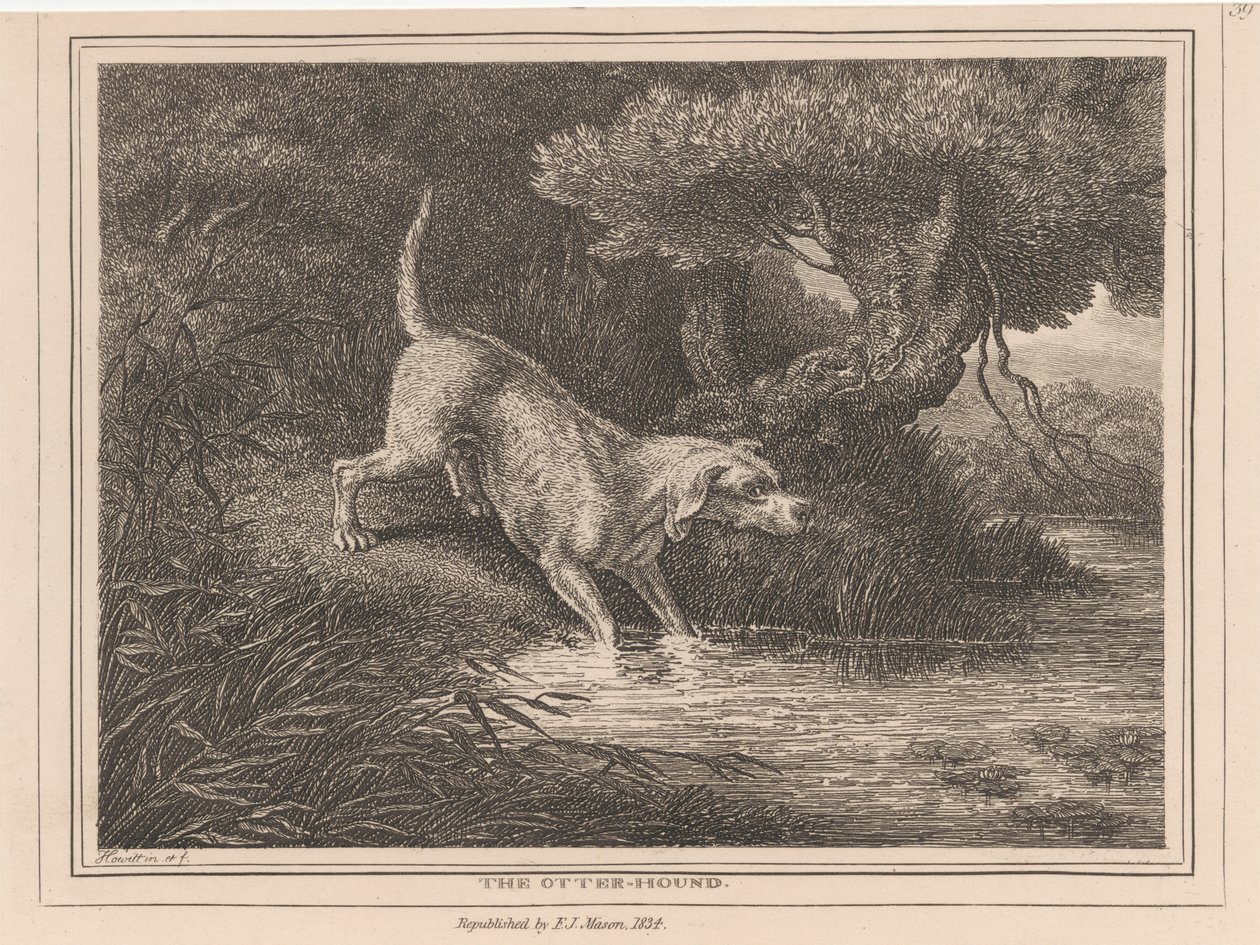 The Otter Hound by Samuel Howitt
