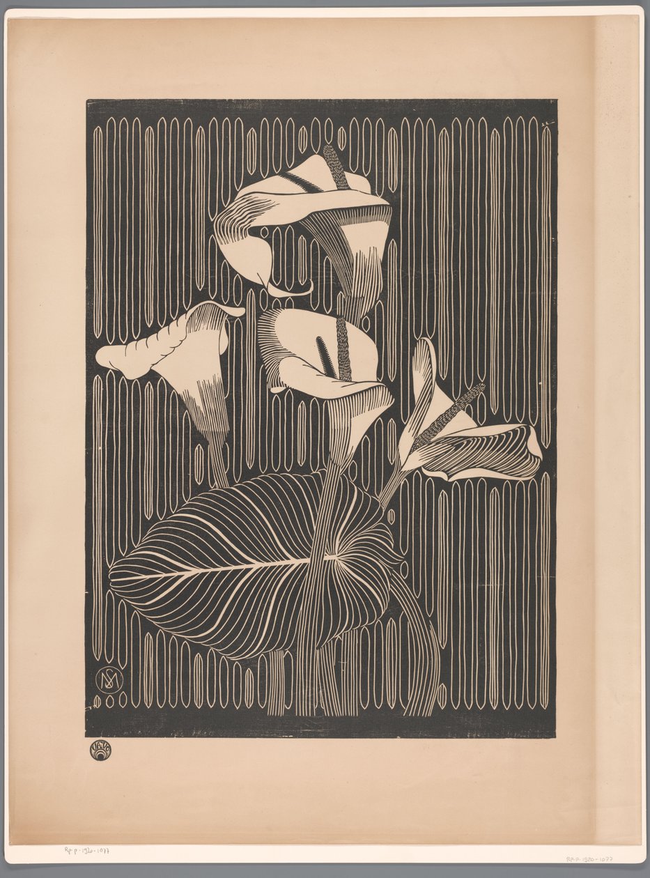 Calla Lilies by Samuel Jessurun de Mesquita