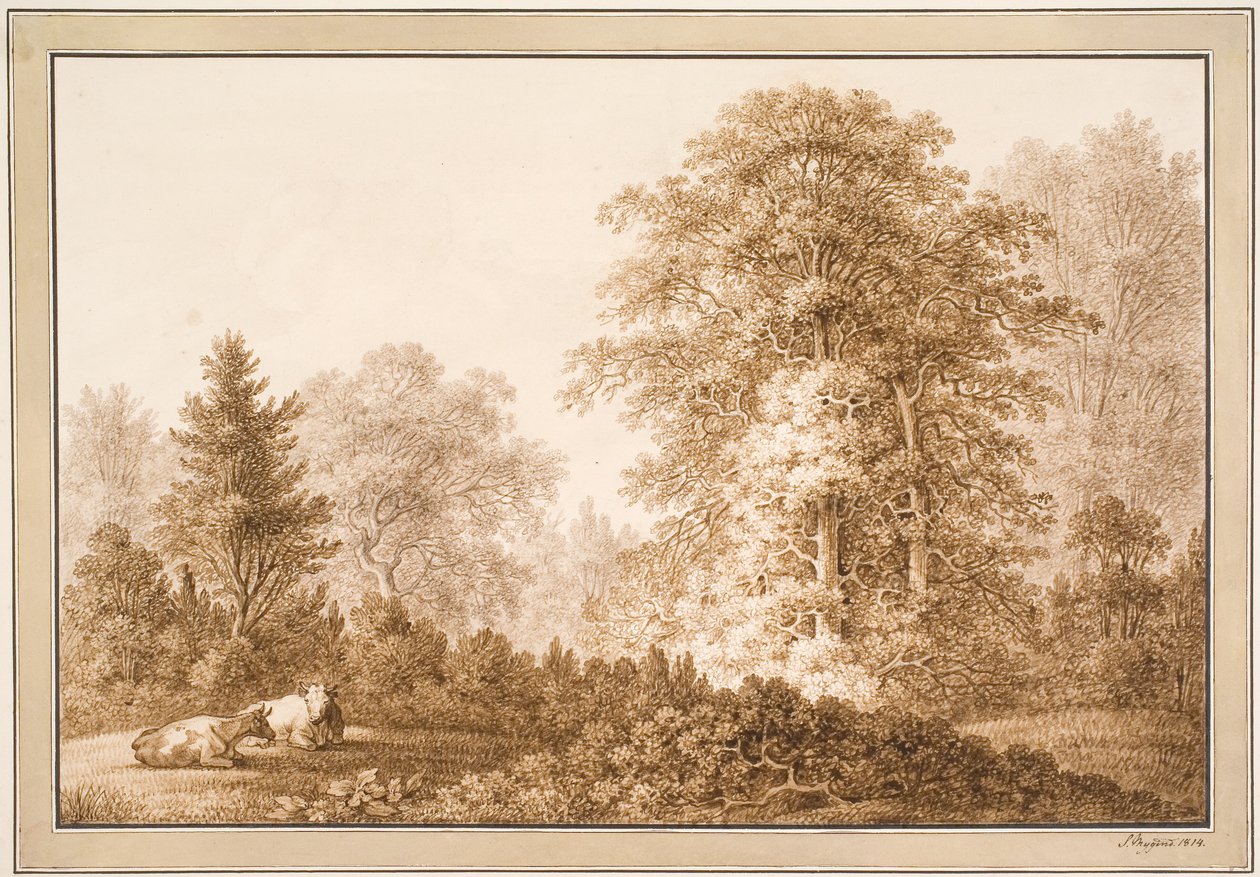 Forest Scene with Two Lying Cows by Samuel Mygind