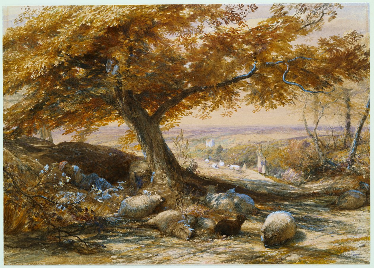 Sheep in the Shade by Samuel Palmer