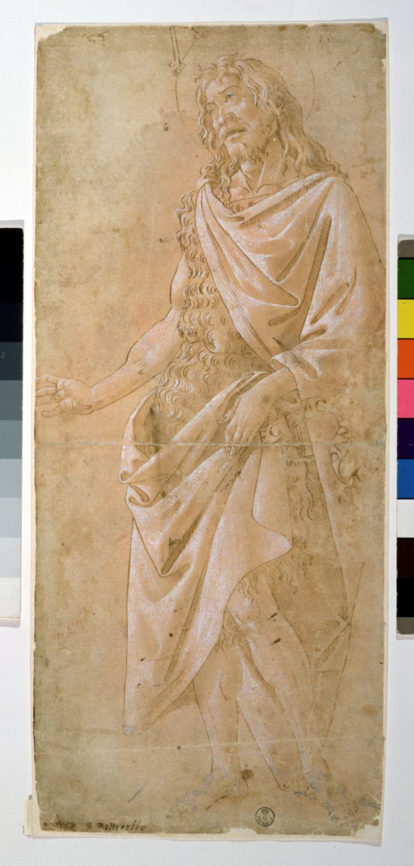 Study of St. John the Baptist by Sandro Botticelli