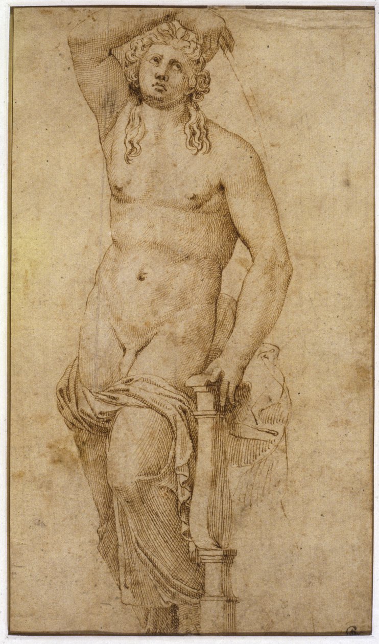 Apollo by Raffaello Sanzio Raphael