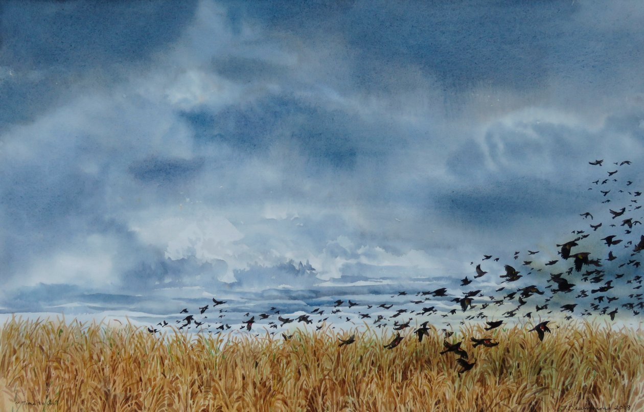 Time to Go by Sarah Drummond