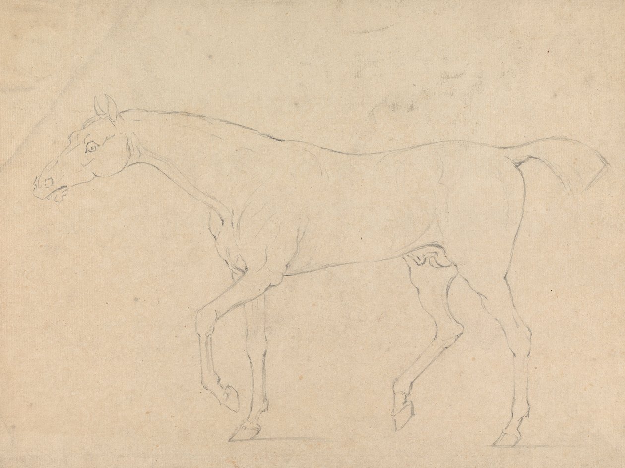 A Horse by Sawrey Gilpin