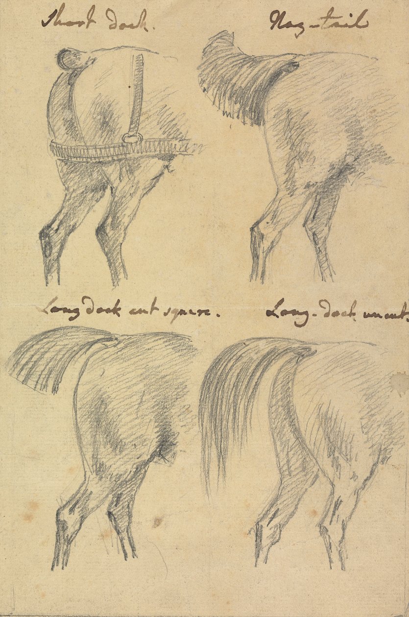 Four Sketches of Horse Tails by Sawrey Gilpin