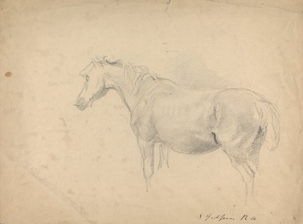 Sketch of a Horse by Sawrey Gilpin