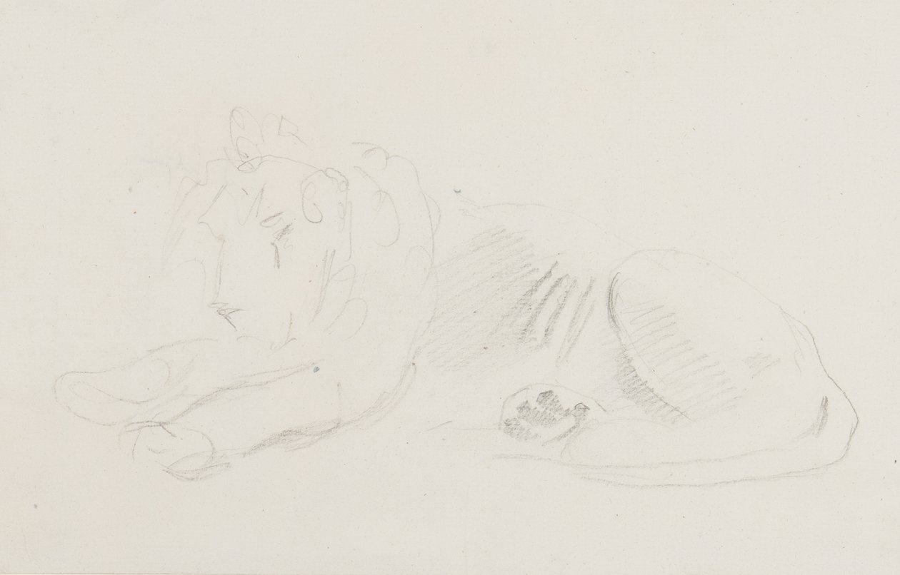 Study of a Lion by Sawrey Gilpin