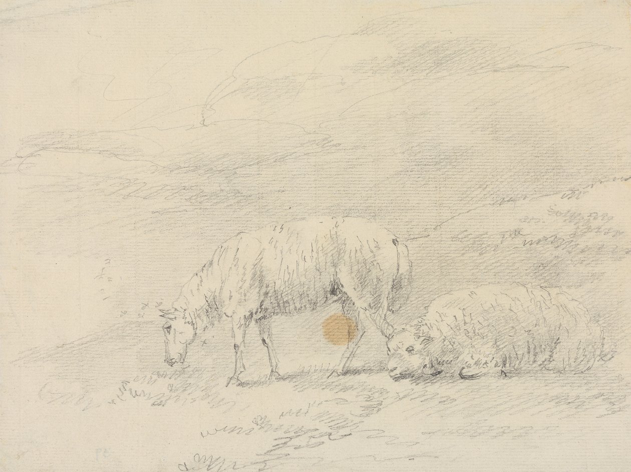 Two Sheep by Sawrey Gilpin