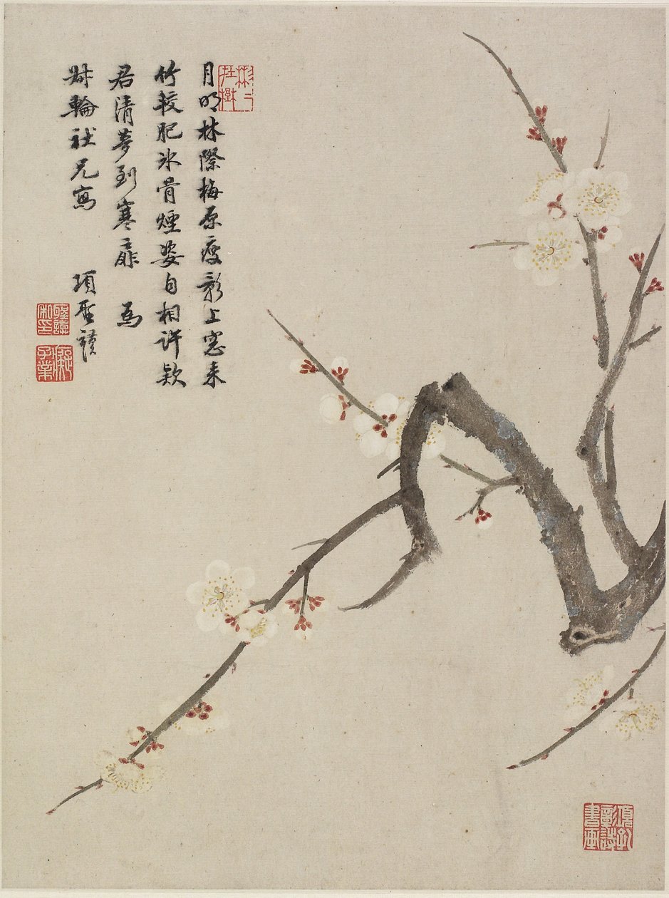 Blossoming Plum from a Flower Album of Ten Leaves, 1656 by Shengmo Xiang
