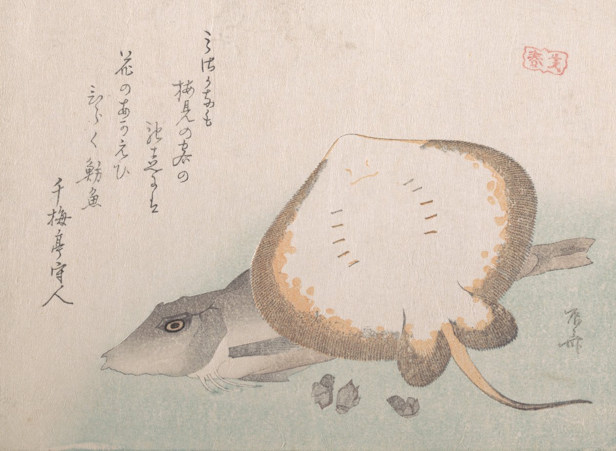 Stingray and Gurnard by Shinsai