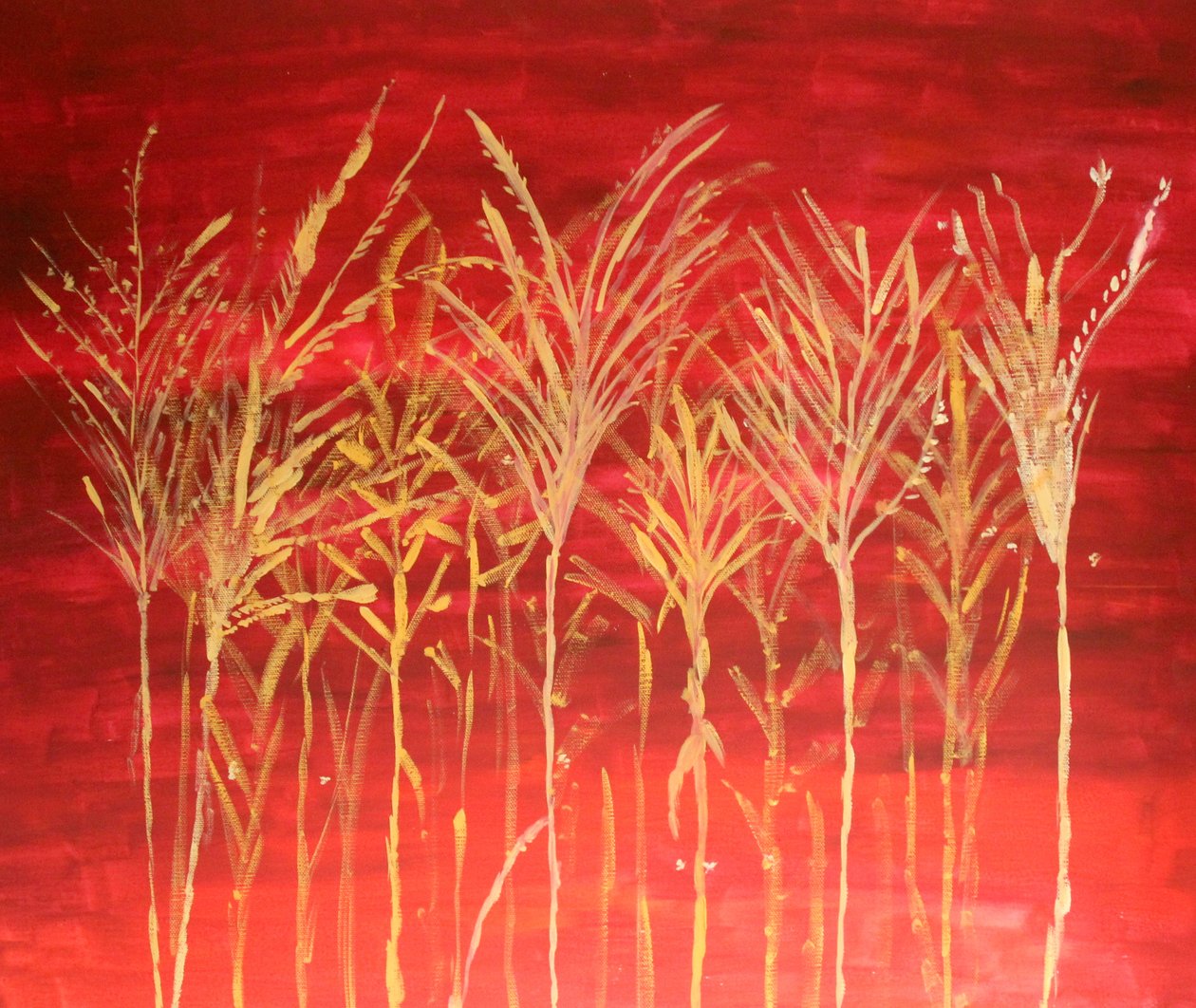 Grasses in the Sunset by Sil A