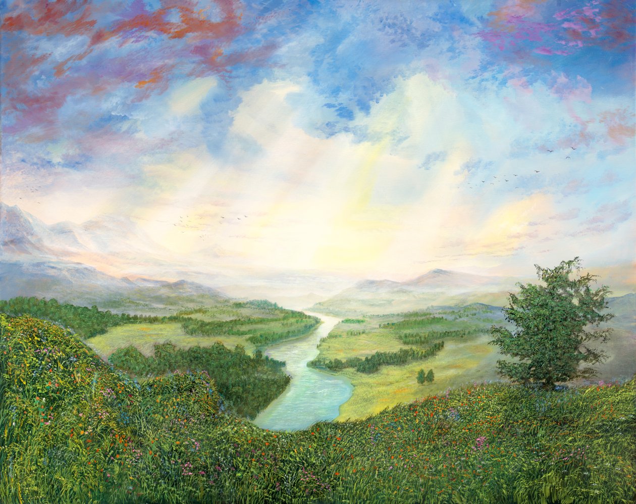 Light Radiations by Silvian Sternhagel