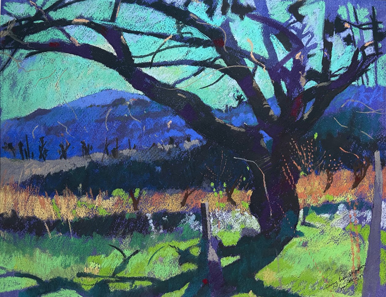 Cherry Tree Shadow, 2000 by Simon Fletcher