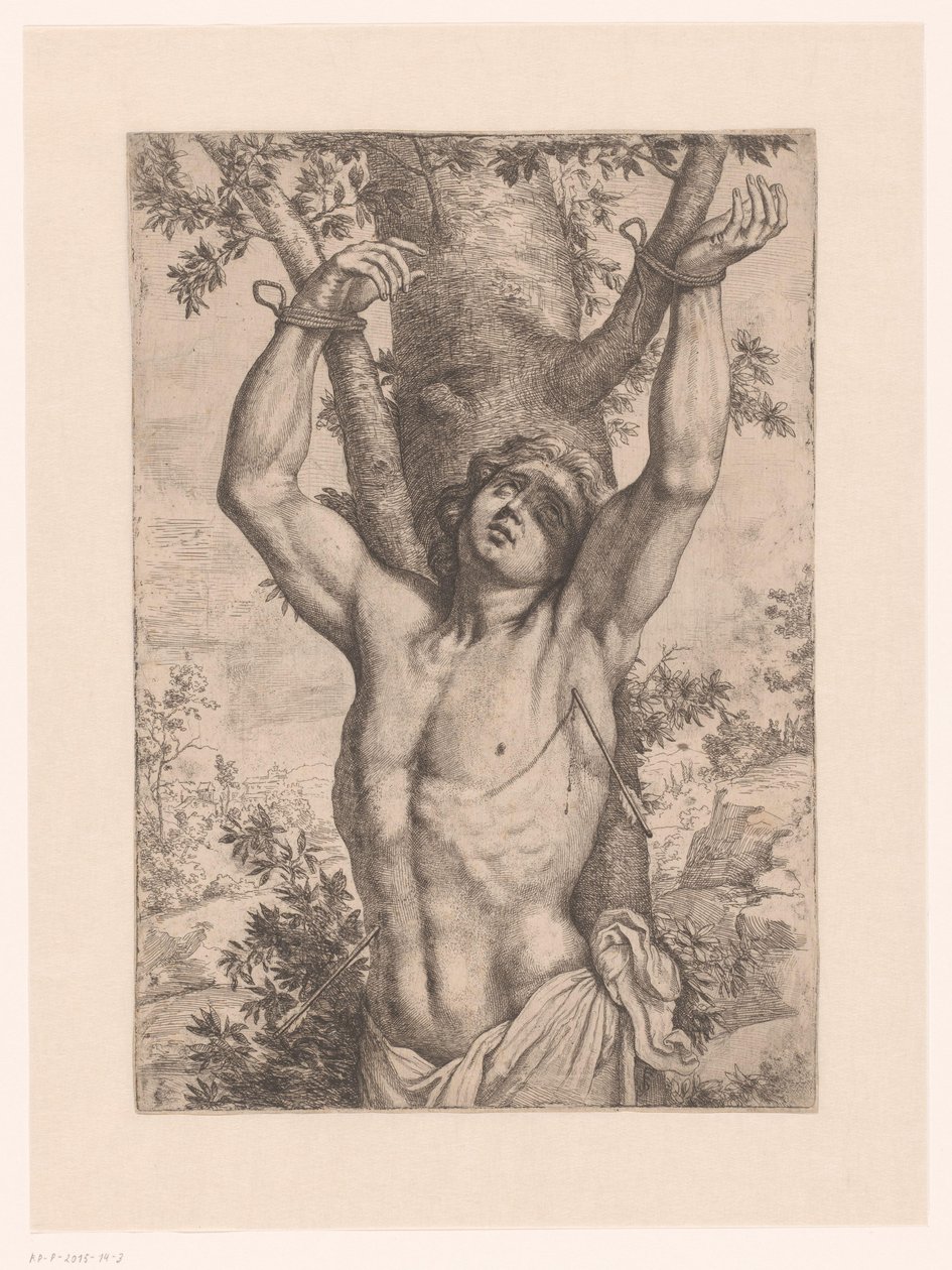 Saint Sebastian Tied to a Tree by Simon Francois