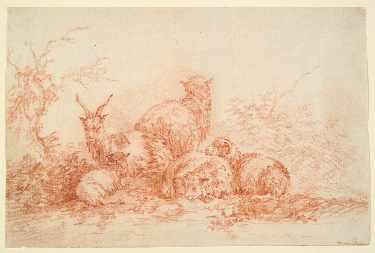 Sheep and Goat Resting by Simon van der Does