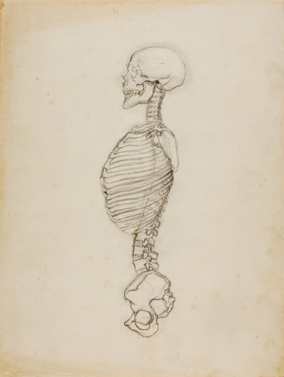 Anatomy by Solon H. Borglum