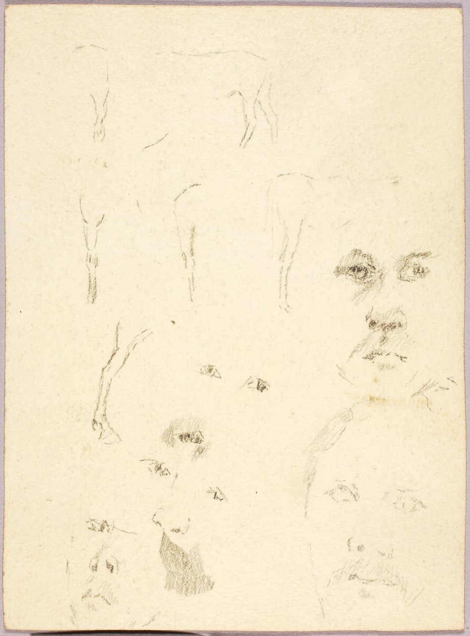 Faces by Solon H. Borglum