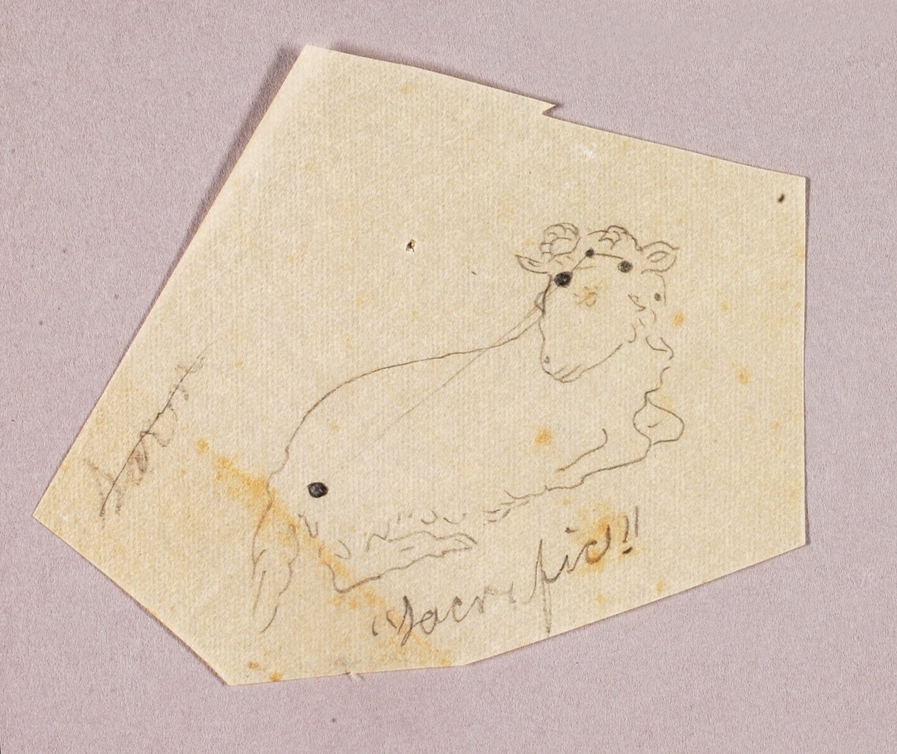 Goat by Solon H. Borglum