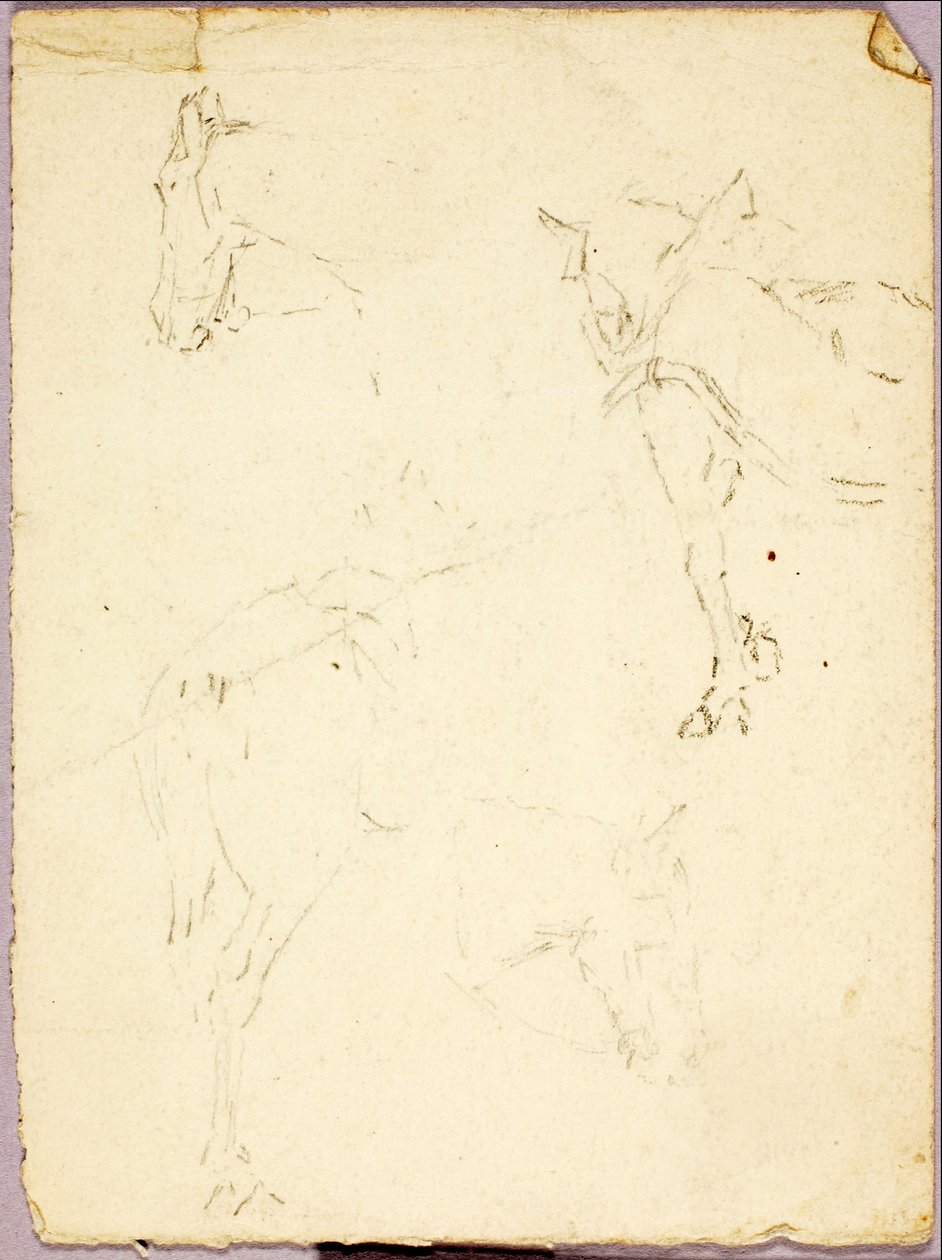 Horses by Solon H. Borglum