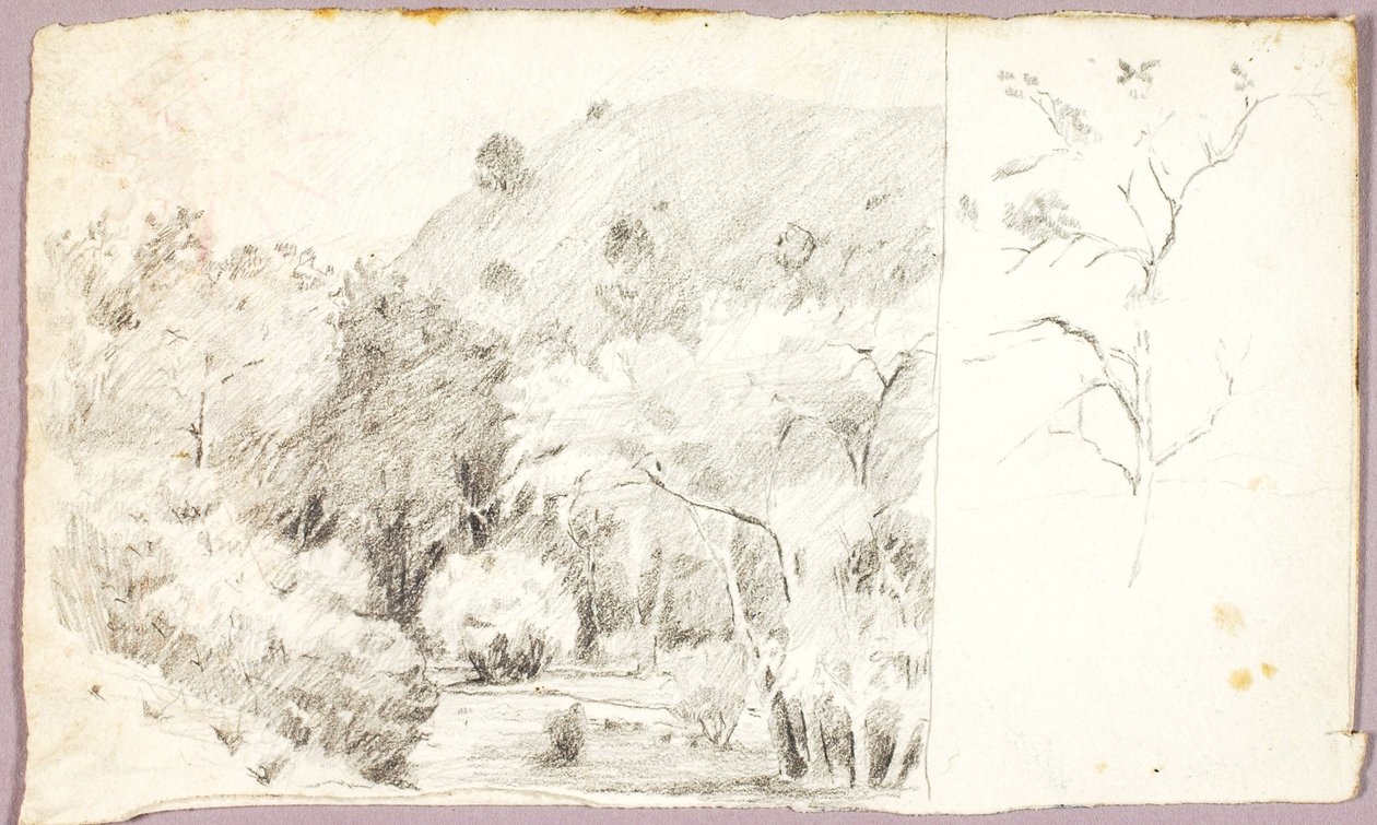Landscape by Solon H. Borglum