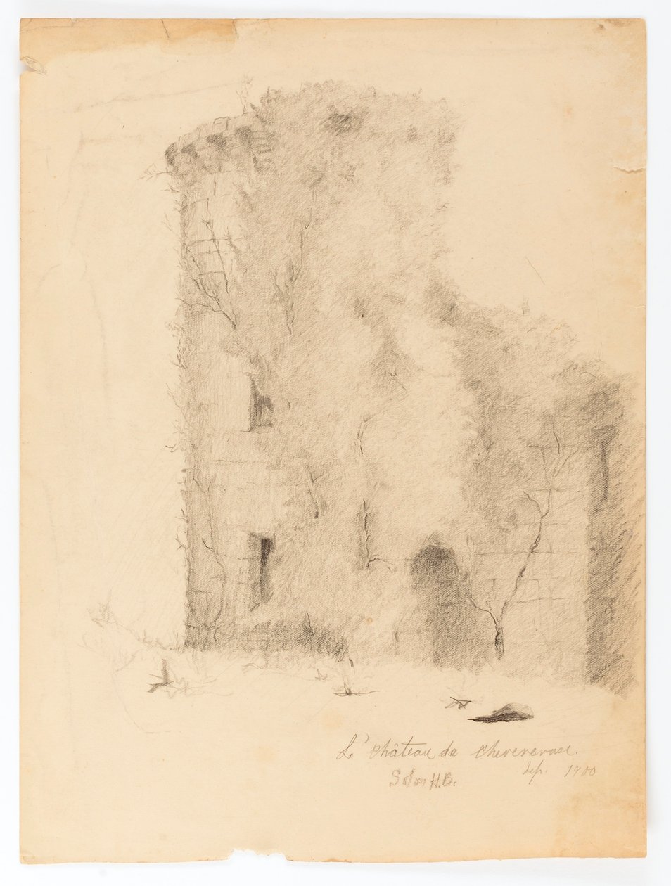 The Castle of Chevenevase by Solon H. Borglum
