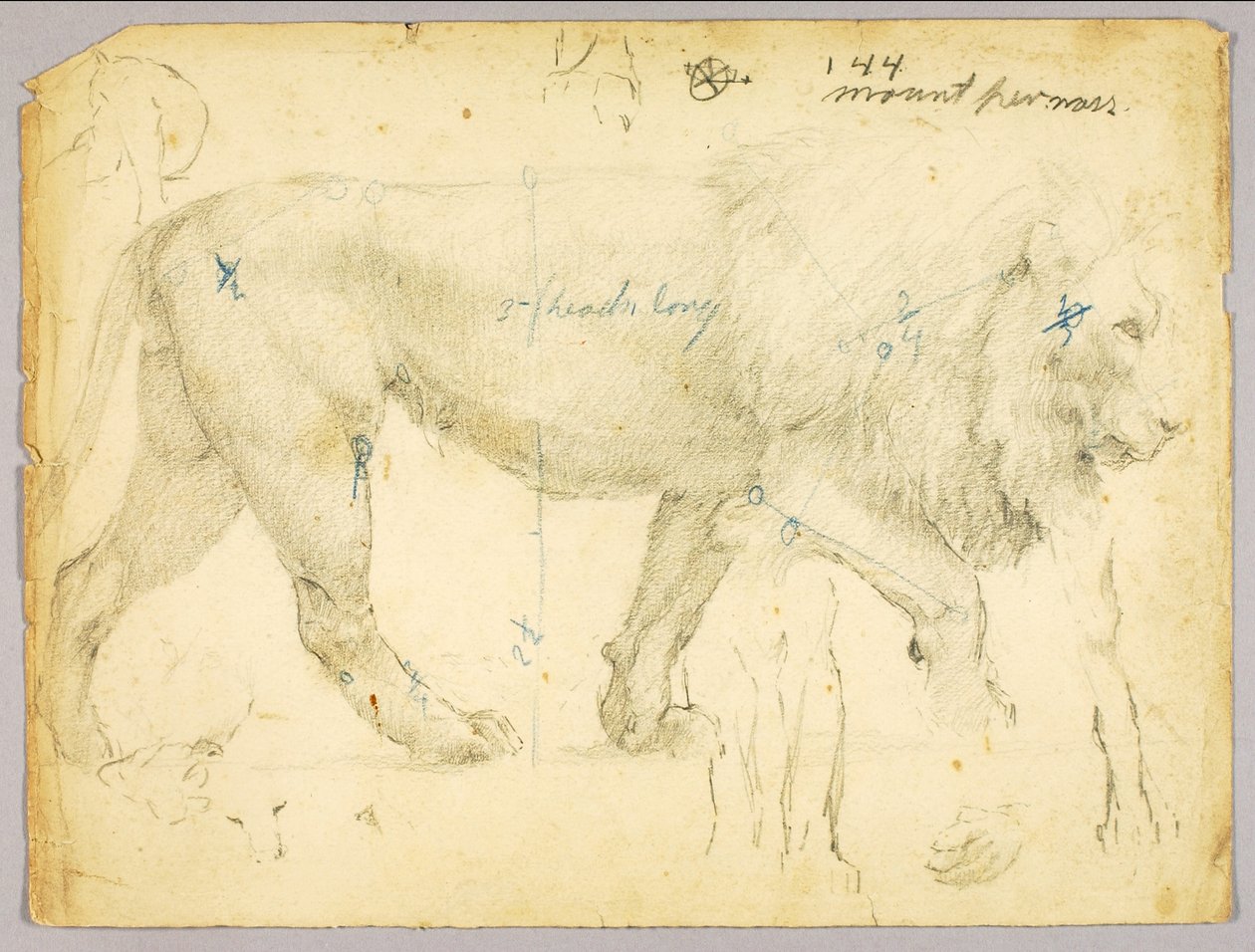Lion by Solon H. Borglum