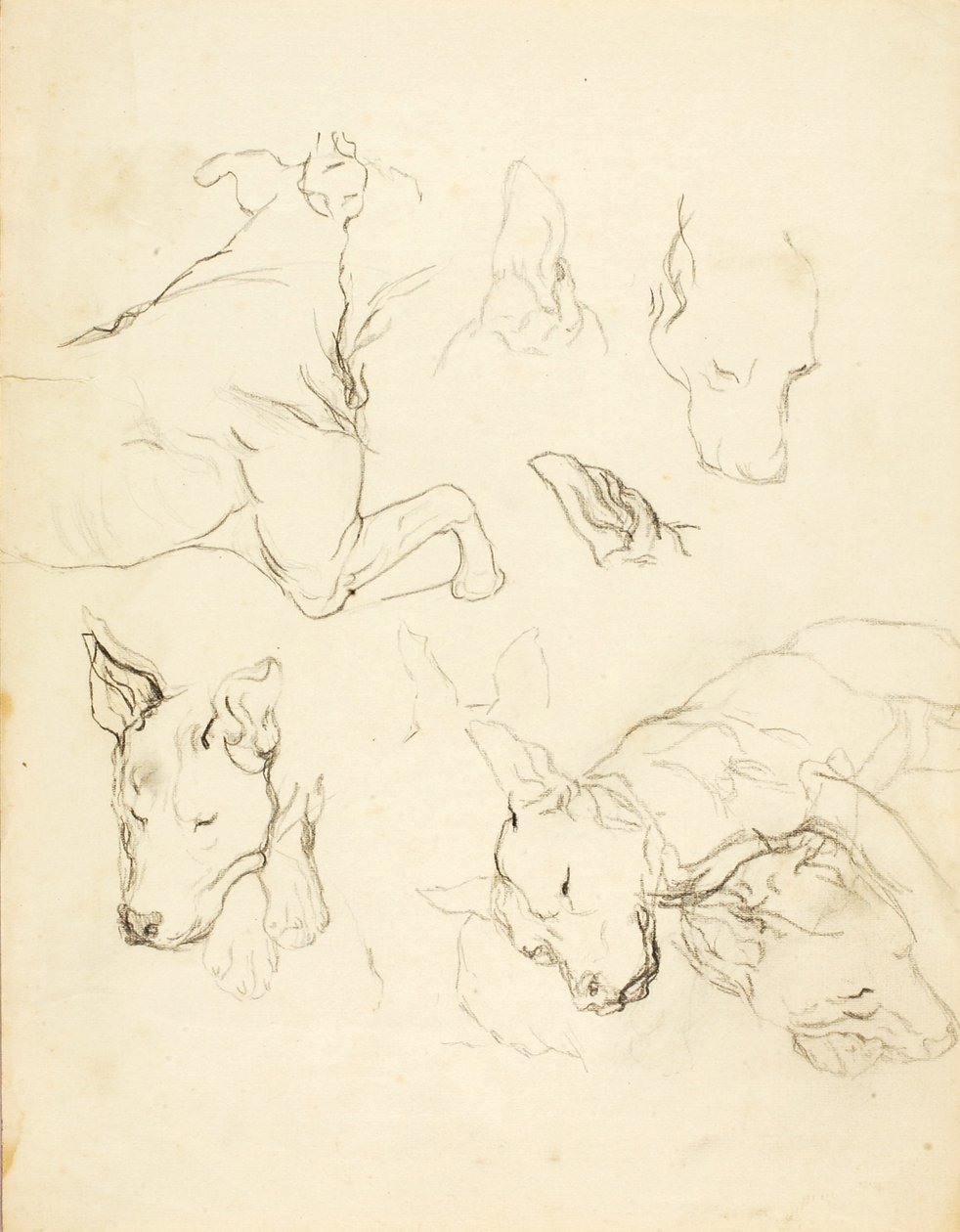 Sleeping Dogs by Solon H. Borglum
