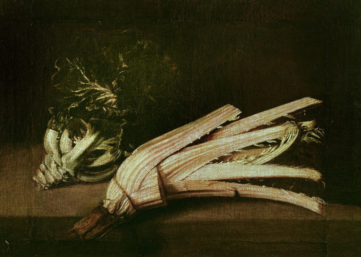 Cardoon and Cabbage by Spanish School