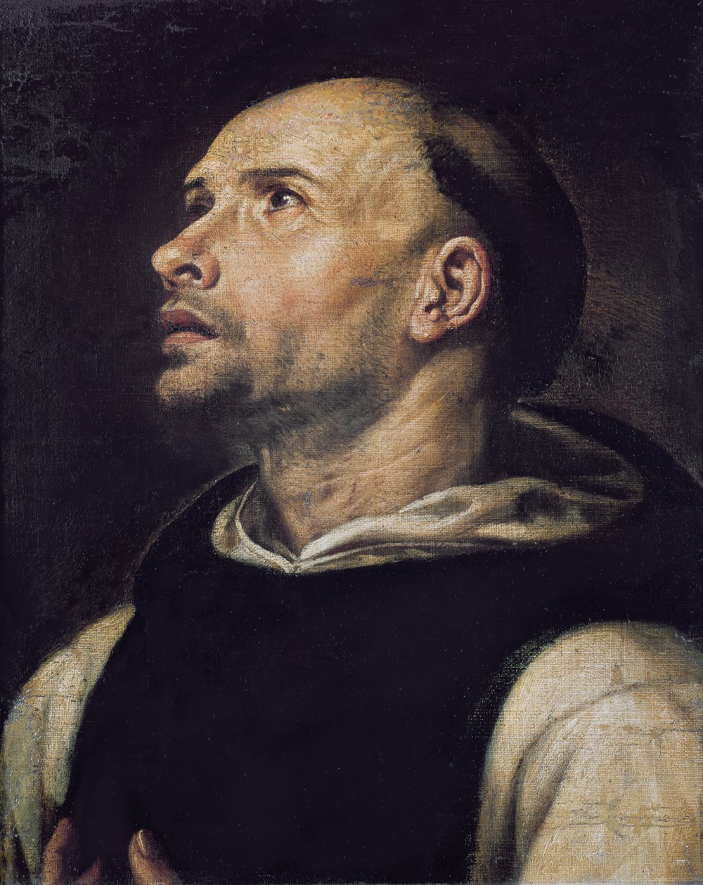 Portrait of a Monk by Spanish School