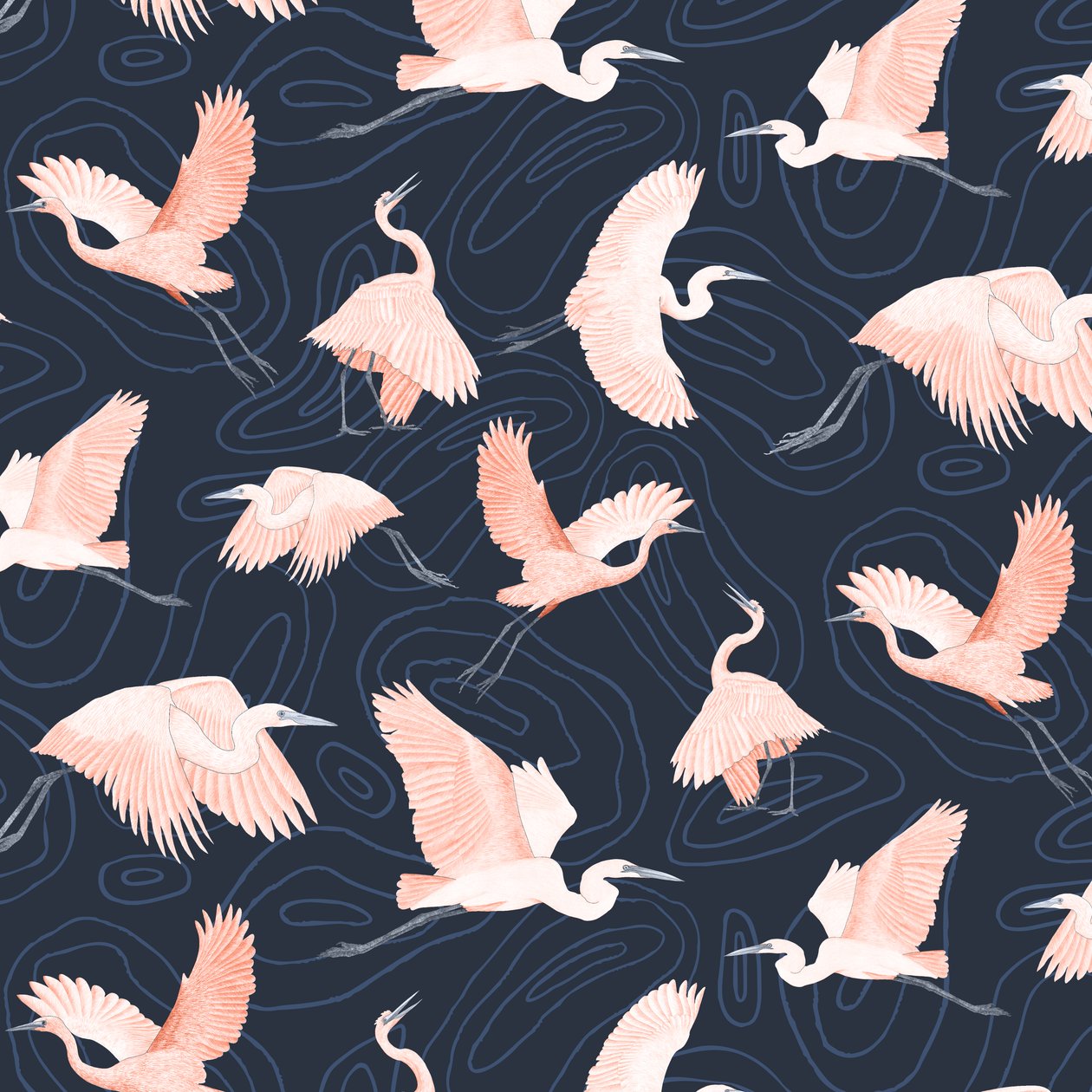 Egrets Pattern I by Stacy Hsu