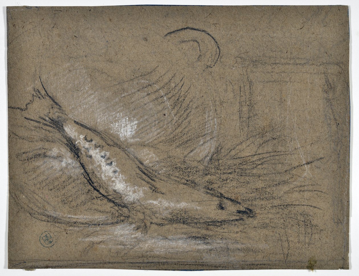 Fish Study by Stanislas Torrents y de Amat