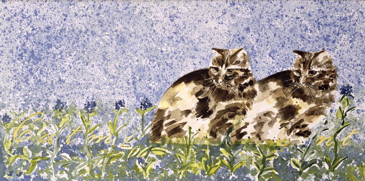 Cat Mint by Suzi Kennett
