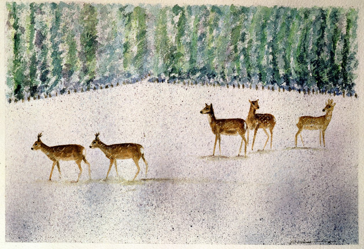 Deer in Snow by Suzi Kennett