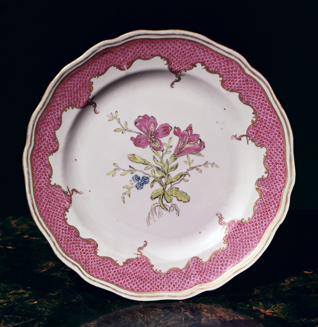 Plate with botanical design by Swedish School