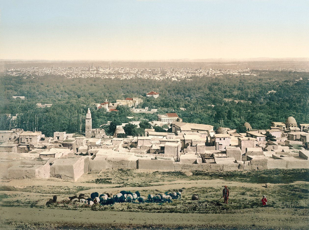 General view of Damascus by Swiss Photographer