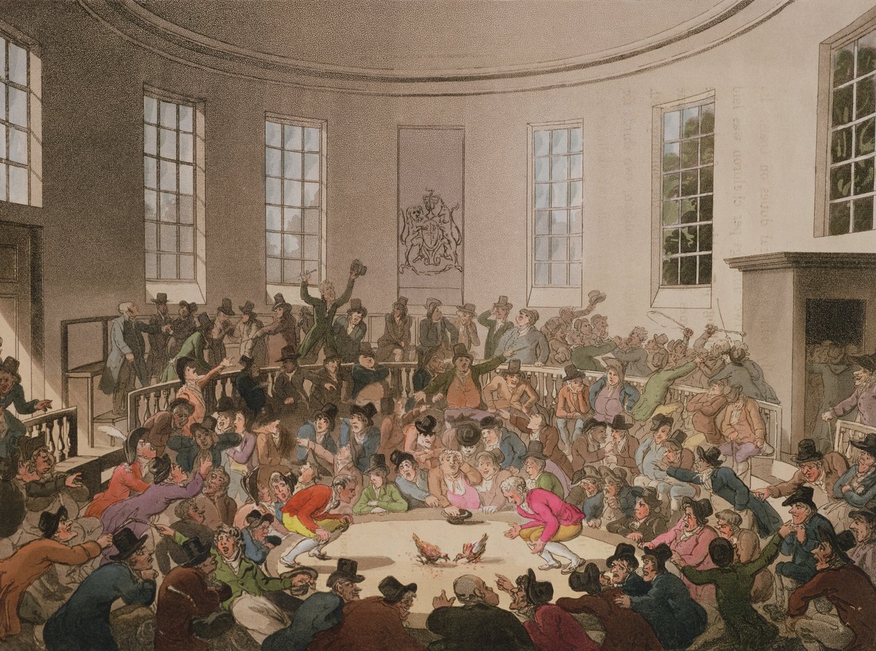 Royal Cock Pit by Pugin and Rowlandson