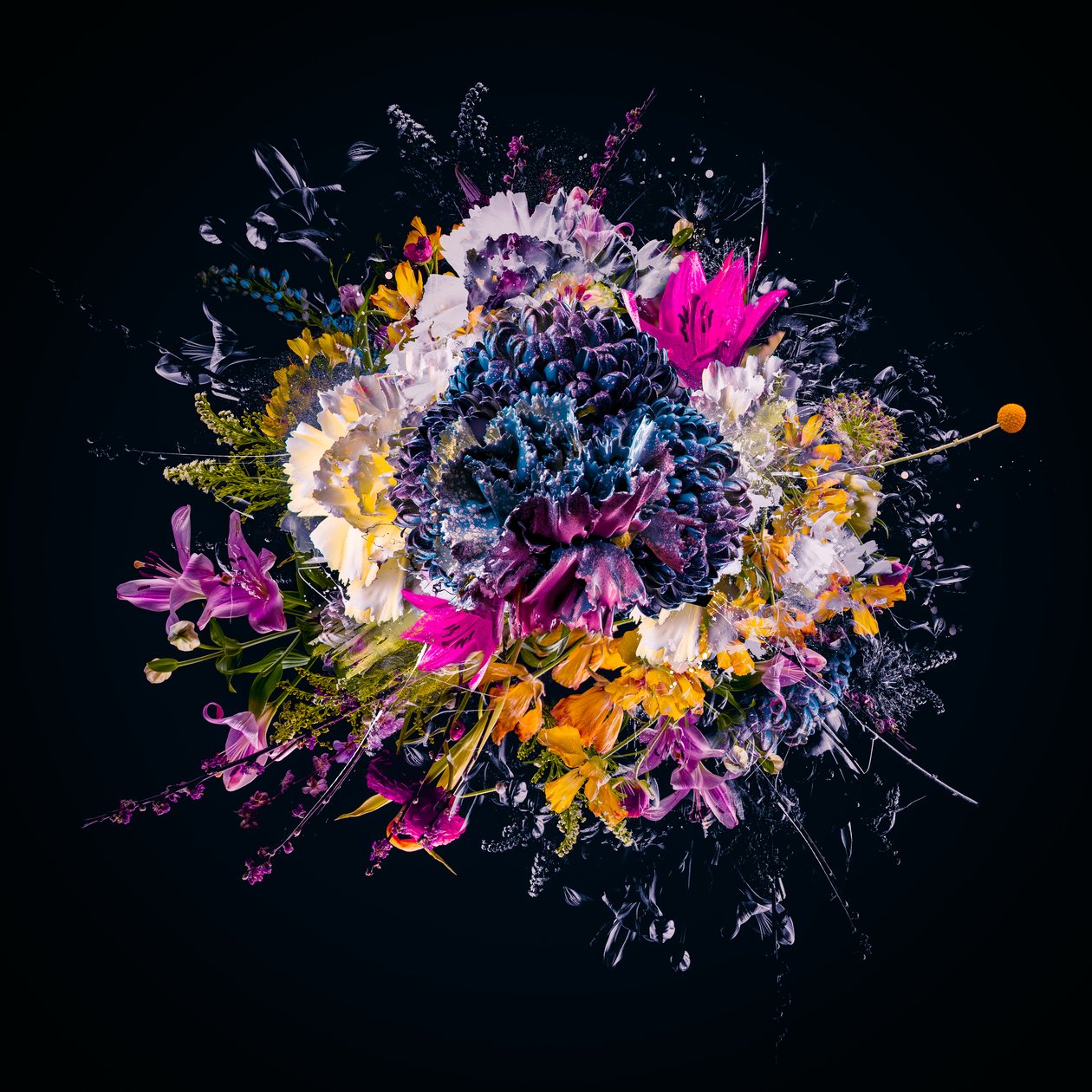 Bouquet III, 2018 by Teis Albers