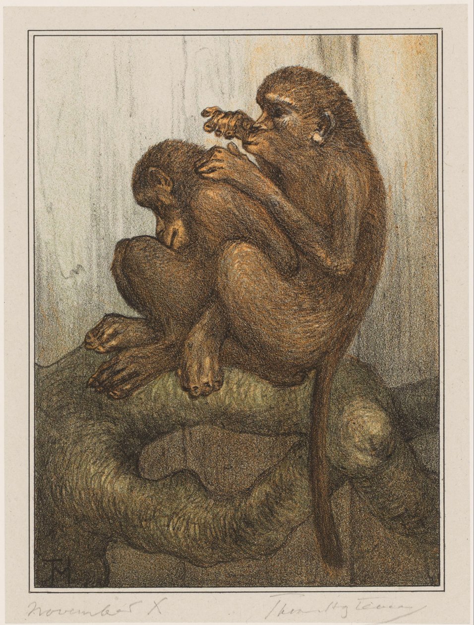 Grooming Monkeys by Theo van Hoytema (signed by artist)