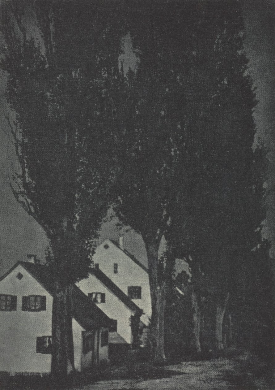Camera Work: Dachau by Theodor Hofmeister
