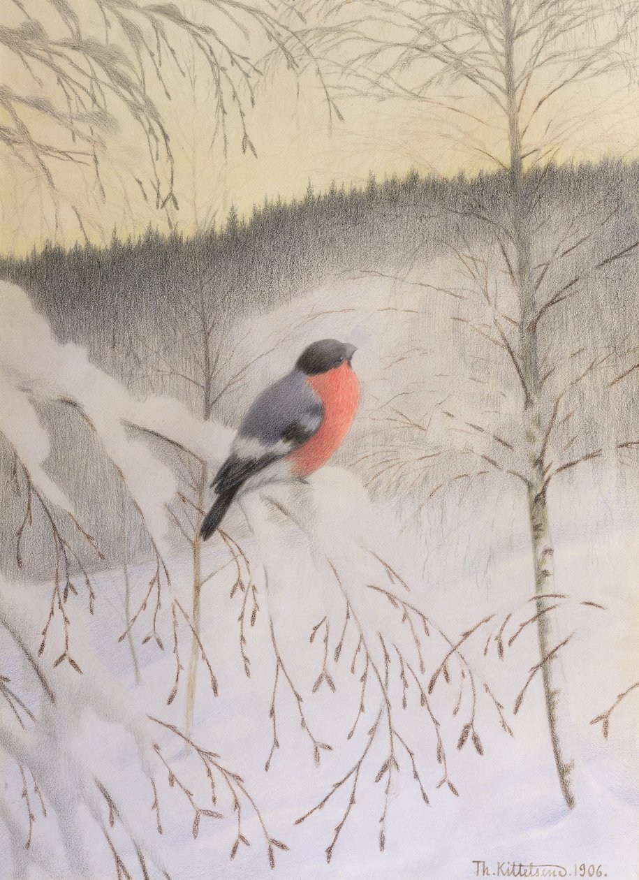 Bullfinch on Frosty Twig by Theodor Kittelsen